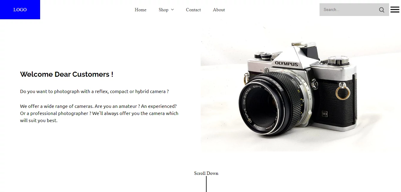 Screenshot of Camera Shop Web App
